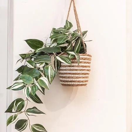 Pieno Centro A 5 Min Acquario Appartement Gênes